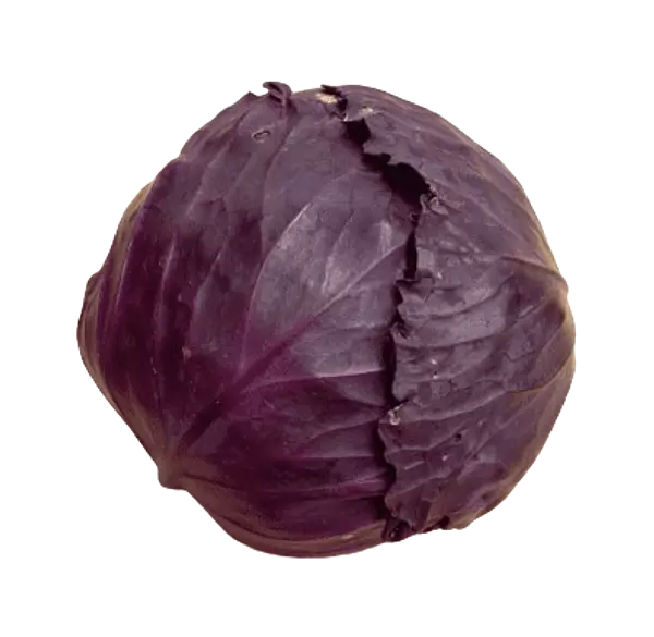 Repollo Morado Kg