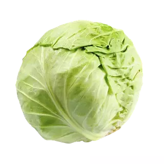 Repollo Blanco Kg