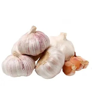 Ajo Criollo Kg
