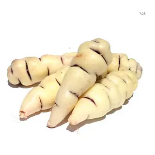 Cubio Kg