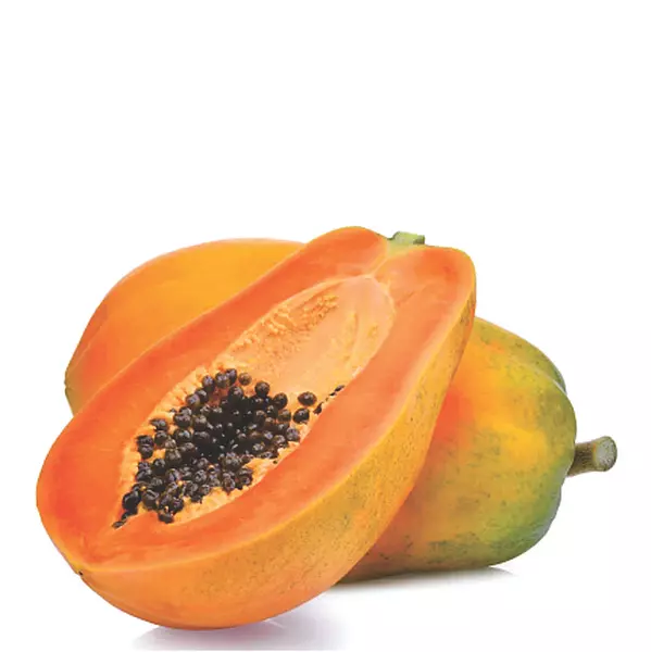 Papaya Común