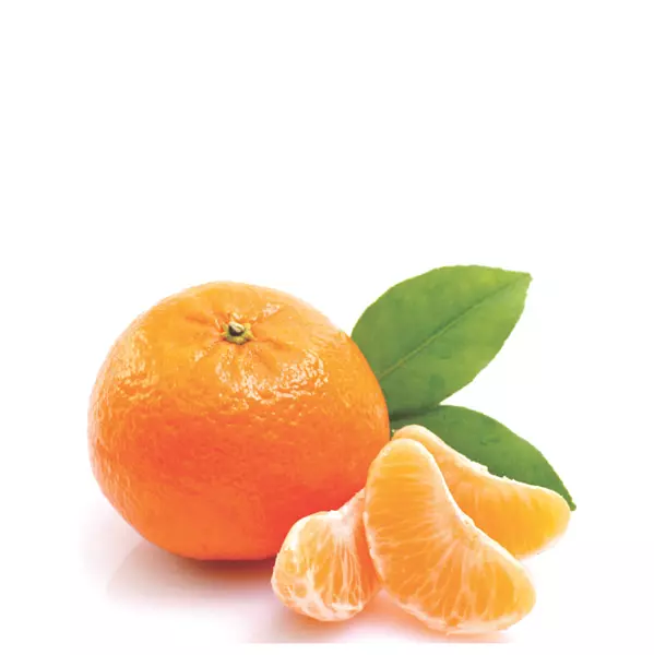 Mandarina Común