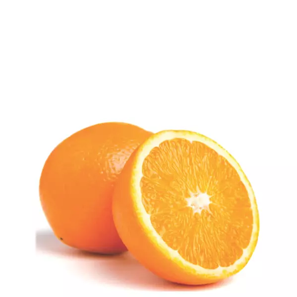 Naranja Común