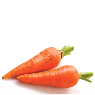 Zanahoria
