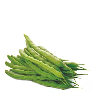 Habichuela