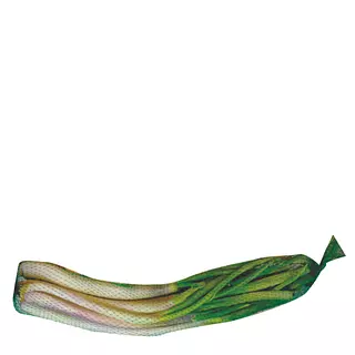 Cebolla Junca En Malla