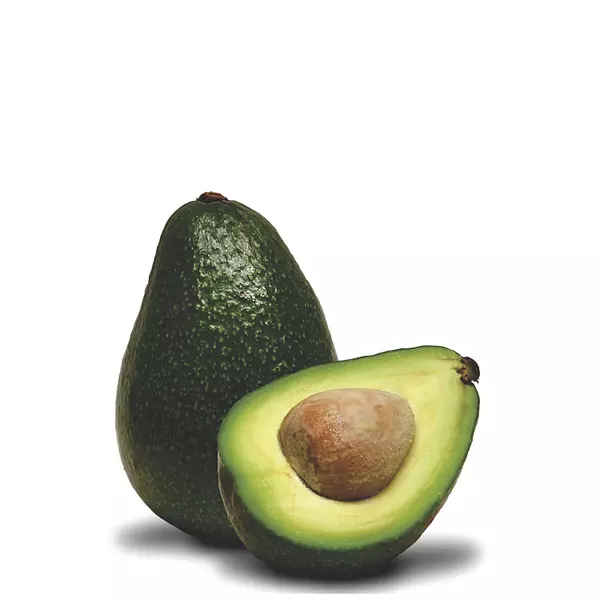 Aguacate Común