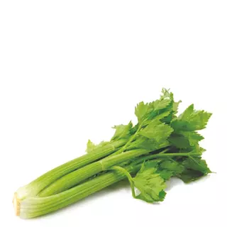 Apio En Rama