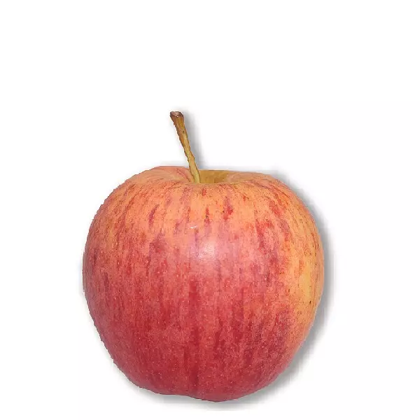 Manzana Royal