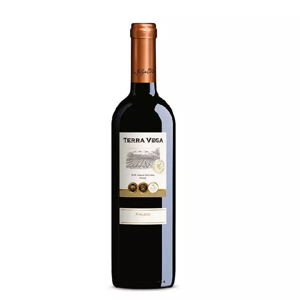 Vino Tinto Terra Vega Malbec