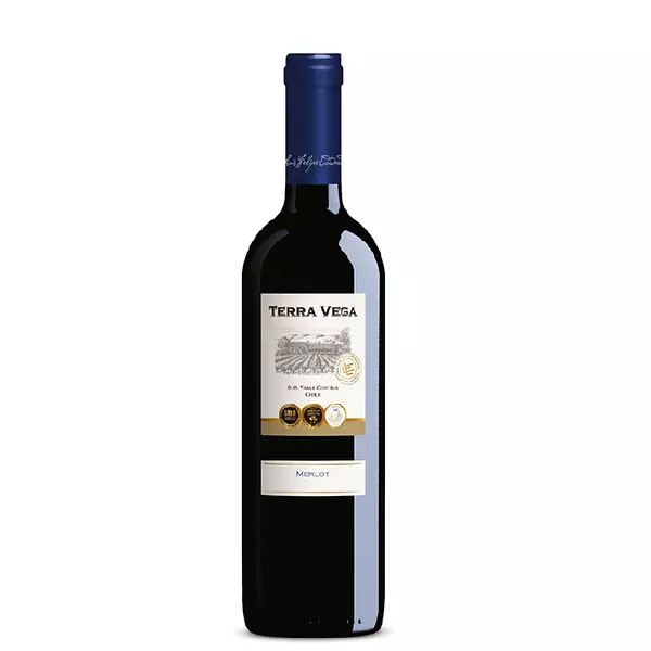 Vino Tinto Terra Vega Merlot