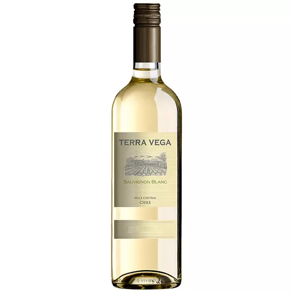 Vino Blanco Terra Vega Sauvignon