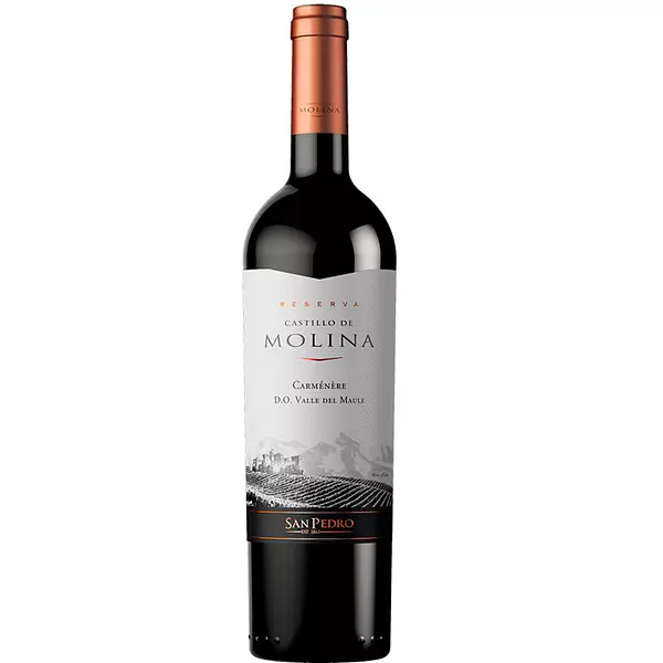 Vino Castillo Molina Carmenere