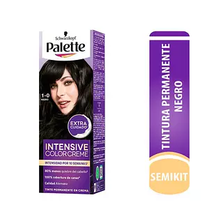 Palette Cc 1-0 Negro 50gr
